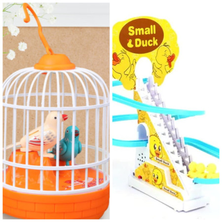 2 in 1 Talking Bird & Sliding Duck Combo  (duck 3)