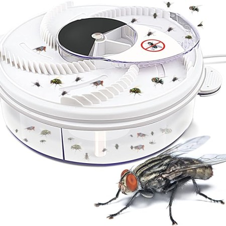 Electric Fly Trap