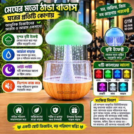 Cloud Rain Humidifier